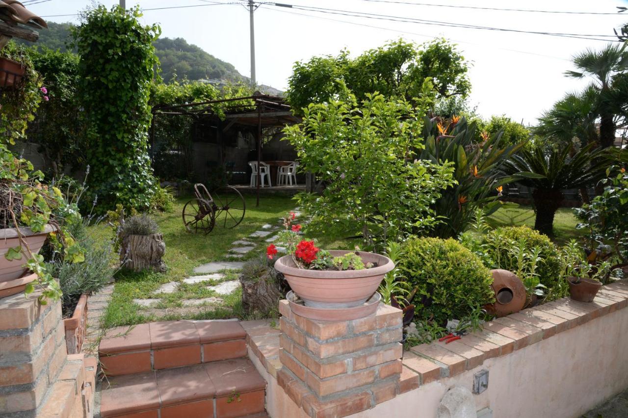 B&B Valeri Tropea Kültér fotó