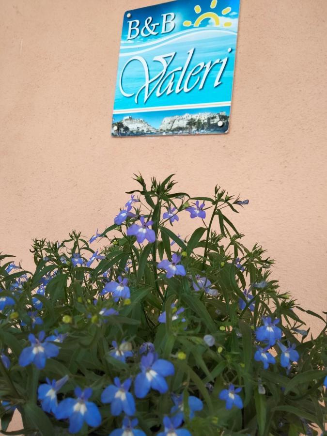 B&B Valeri Tropea Kültér fotó