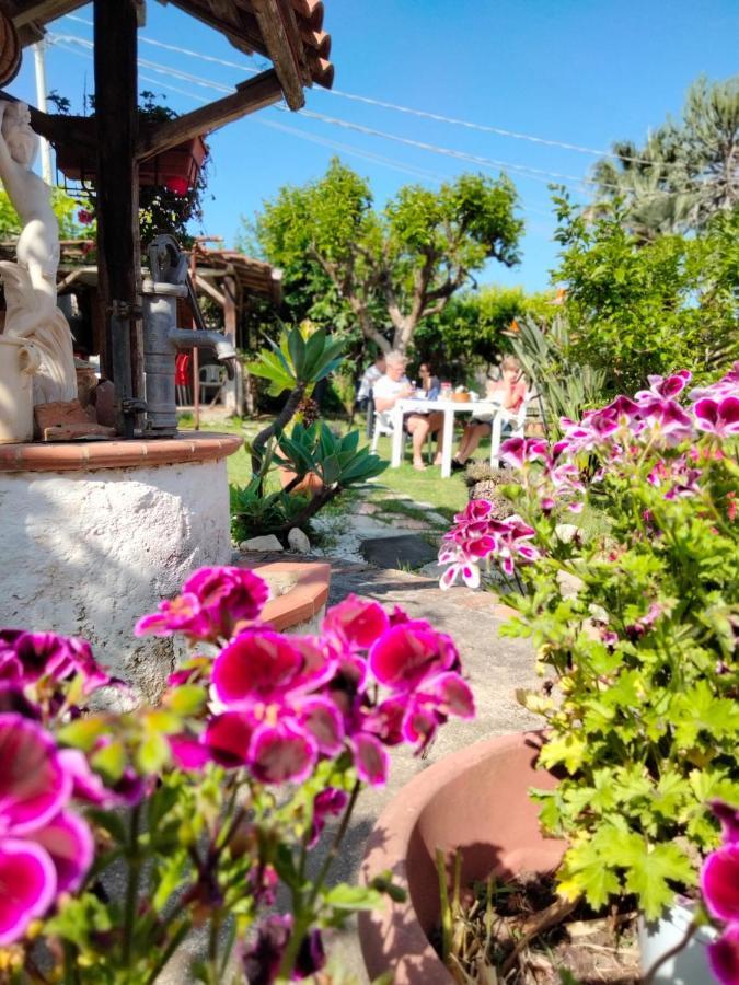 B&B Valeri Tropea Kültér fotó