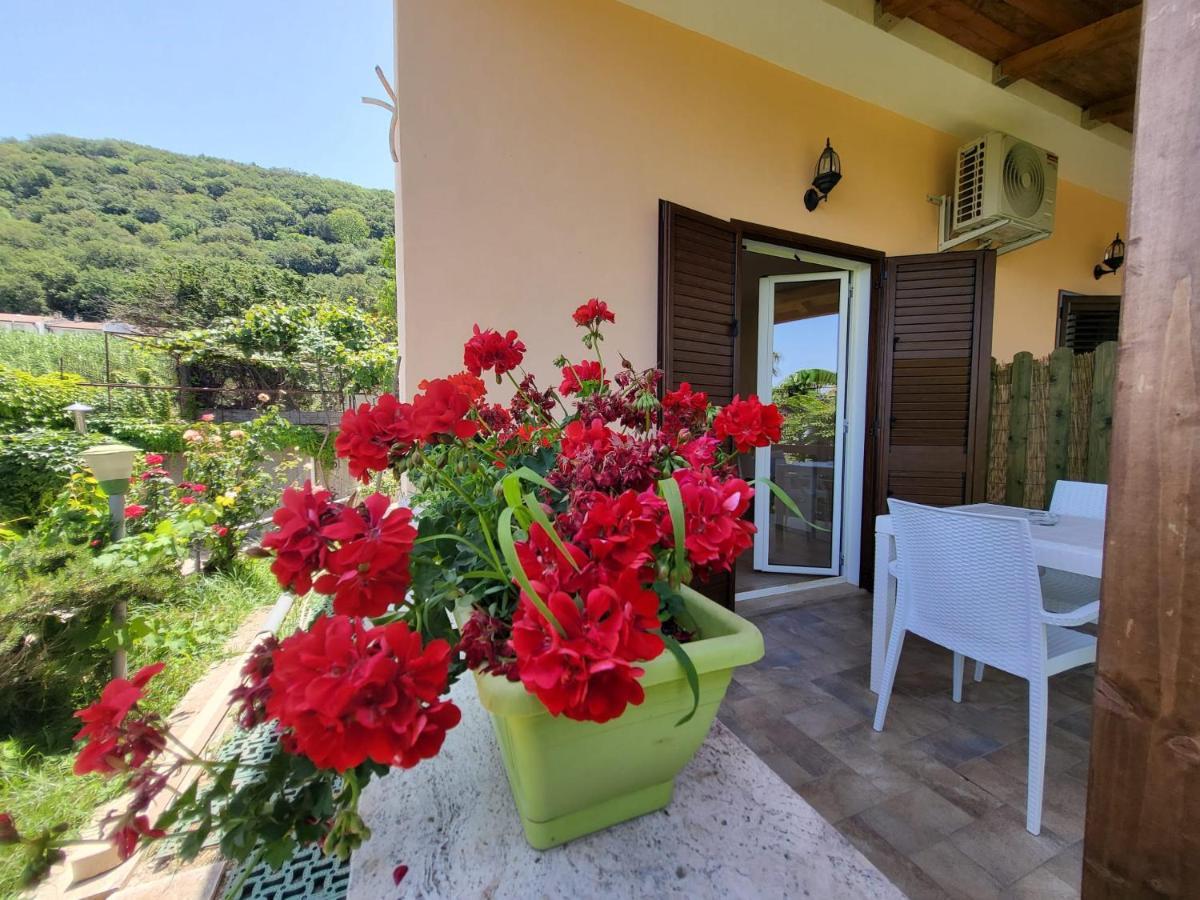 B&B Valeri Tropea Kültér fotó